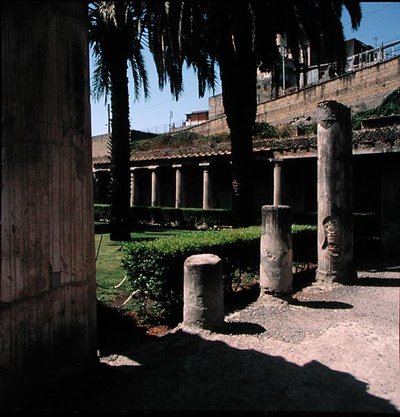 Aristide House by Roman Roman